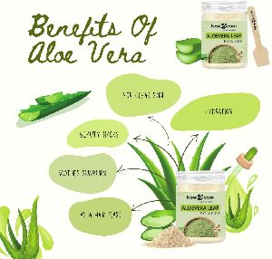 Aloe Vera Powder