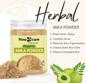 Amla Powder