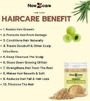 Amla Powder