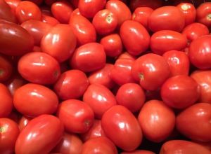 Fresh Red Tomato
