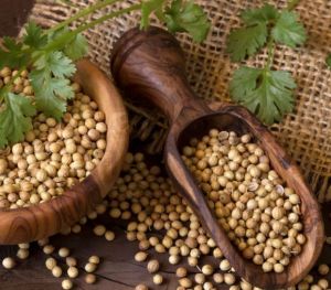 Coriander Seeds