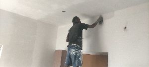 Birla White Wall Putty