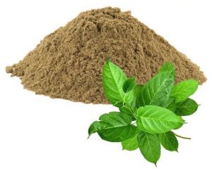 Gymnema Sylvestre Extract