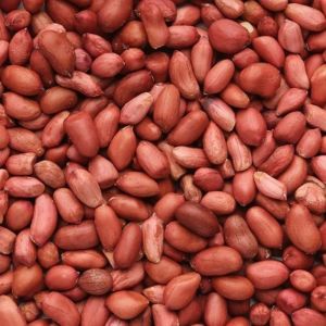 Bold Peanuts