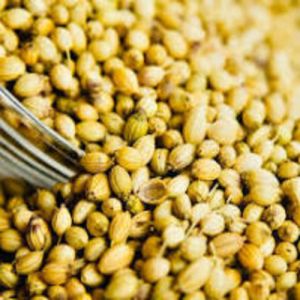 Coriander Seeds
