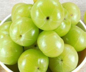 Fresh Green Amla