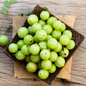 Indian Green Amla