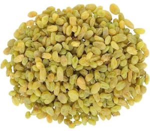 Kandhari Raisins