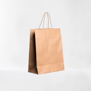 Paper Carry Bag