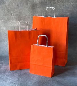 Paper Carry Bag