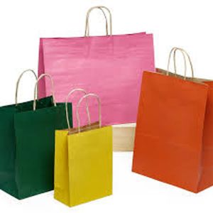 Paper Carry Bag