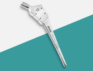 Calcar Stem