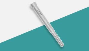 Interlocking Screw