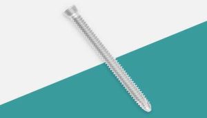 Round Locking Head Screw