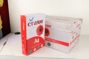 75 GSM Crayon A4 Size Multipurpose Printing Paper