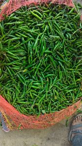 Green Chilli