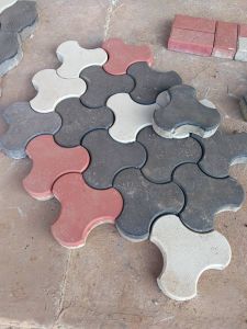 Interlocking Paver Block