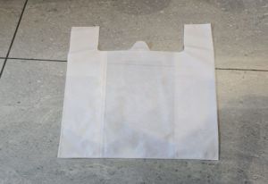 Non Woven Bag