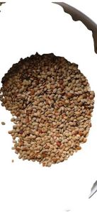 Horse Gram