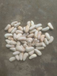 Natural Jackfruit Seeds