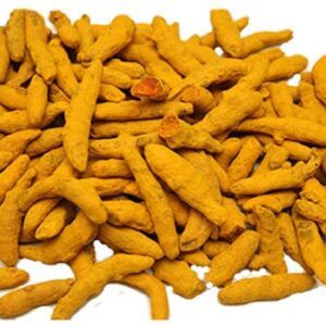 Dry Turmeric Finger