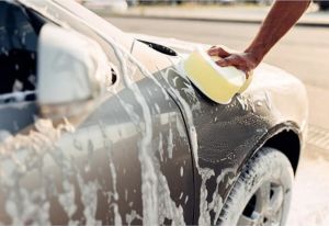 Multipurpose Sponge