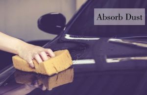 Multipurpose Sponge