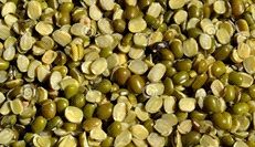 Split Green Gram Moong