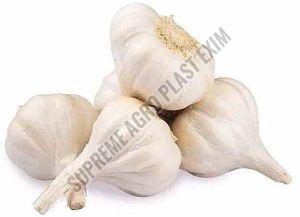 A Grade Fresh Garlic