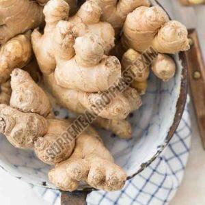 A Grade Fresh Ginger