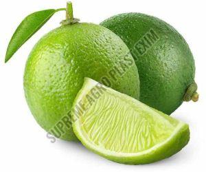 A Grade Fresh Green Lemon