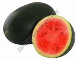 A Grade Kiran Watermelon