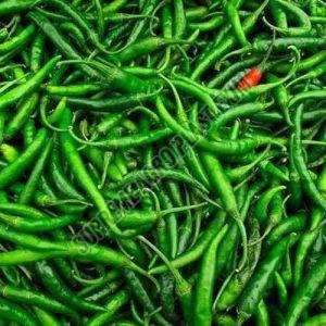 G4 Indian Green Chilli