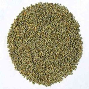 Green Millets