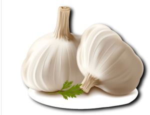 Garlic