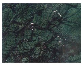 Peacock Green Marble