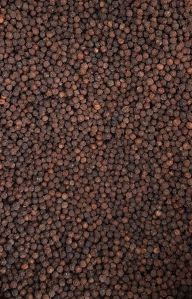 Akash Black Pepper