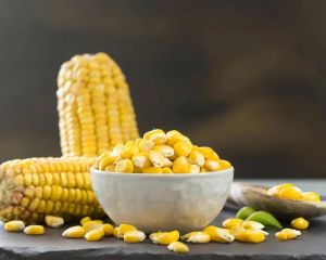 Mini Corn Frozen