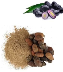 Jamun Seed Powder