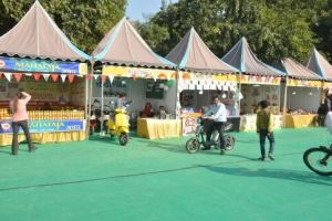 Outdoor Promotional Canopy Rental Service