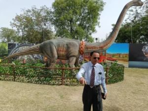 Dinosaur Costume Rental Service