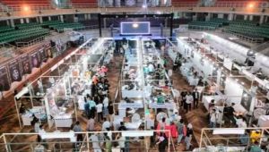 Curated Exhibition Service