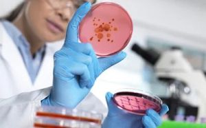 Bioburden Testing Services