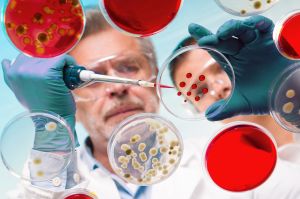Genotoxicity, Carcinogenicity and Mutagenicity Studies