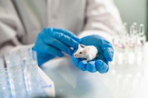 Sub-Acute & Chronic Toxicity Studies