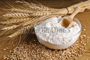Whole Wheat Flour