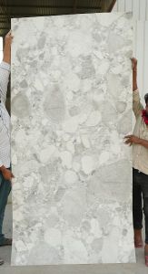 Fossil Granite Stone Veneer