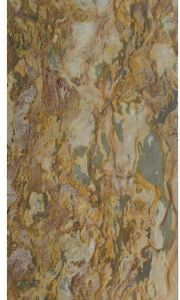 Indian Autumn Stone Veneer