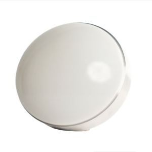 LED Ceiling Light