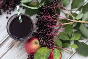 Elderberry Juice Concentrate